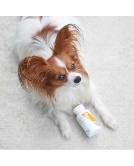 VetExpert Immune system (30 kaps.Toff)