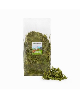 FACTORYHERBS Liść mniszka lekarskiego XL 300g