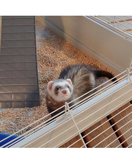 FERPLAST Furet Tower - klatka dla fretek