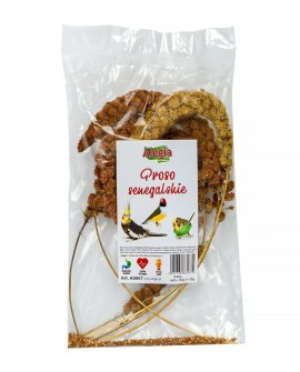 ALEGIA przysmak proso Senegalskie 80g
