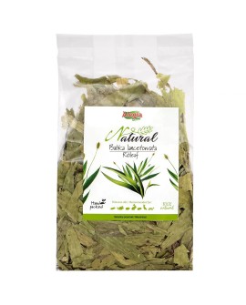 ALEGIA Babka Lancetowata 100g