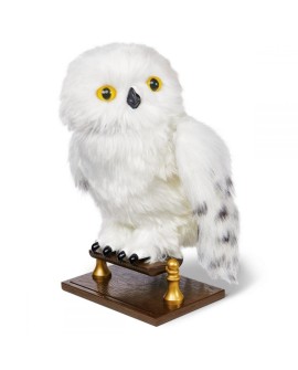 Interaktywna Hedwiga
