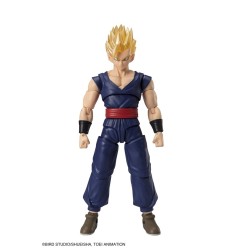 DRAGON BALL SUPER EVOLVE -...