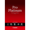 PHOTO PAPER PRO PLATINUM/PT-101 A3 20SH