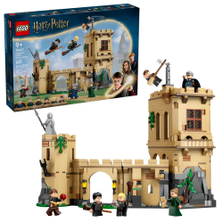 LEGO Harry Potter Zamek Hogwart lekcja latania na miotle 76447