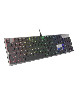 GENESIS Thor 420 RGB klawiatura Gaming USB AZERTY US English Srebrny