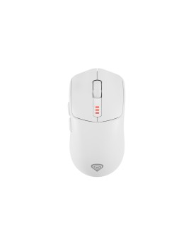 GENESIS Zircon 500 myszka Gaming Po prawej stronie RF Wireless + Bluetooth + USB Type-C Optyczny 10000 DPI