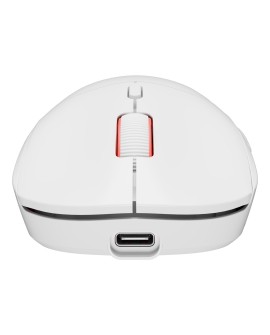 GENESIS Zircon XIII myszka Gaming Oburęczny RF Wireless + USB Type-C Optyczny 26000 DPI