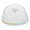 GENESIS Zircon XIII myszka Gaming Oburęczny RF Wireless + USB Type-C Optyczny 26000 DPI