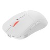 GENESIS Zircon XIII myszka Gaming Oburęczny RF Wireless + USB Type-C Optyczny 26000 DPI