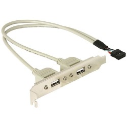 DELOCK Slotblech 2x USB A