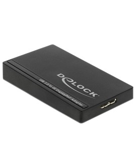 DeLOCK 62581 zewnętrzna karta graficzna usb 3840 x 2160 px Czarny