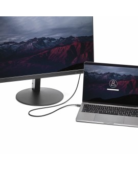 StarTech.com CDP2DPMM1MB adapter kablowy 1 m DisplayPort USB Type-C Czarny