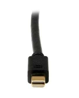 StarTech.com MDP2DVIMM6B adapter kablowy 1,8 m mini DisplayPort DVI-D Czarny