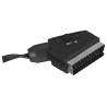 Kabel męski SAVIO CL-133 (SCART M - RCA x 3 M 2m kolor czarny)
