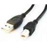 Kabel GEMBIRD CCP-USB2-AMBM-6 (USB 2.0 typu A M - USB 2.0 typu B M 1,8m kolor czarny)