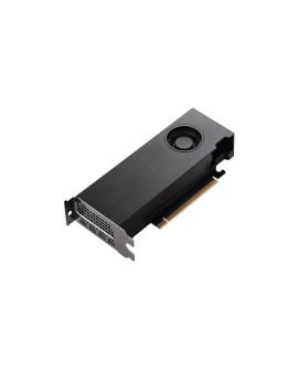 Karta graficzna PNY NVIDIA RTX A2000 12GB, GDDR6, 4x DisplayPort, PCI Express 4.0, dual slot LP - ATX bracket, Small Box