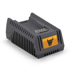 MoWox | Ładowarka 1 A, 60W,...