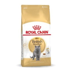 Royal Canin FBN British...