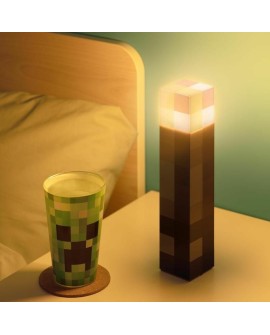 PP MINECRAFT TORCH LIGHT