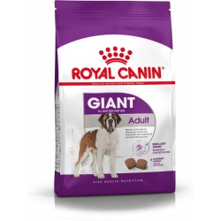 Karma Royal Canin SHN Giant...