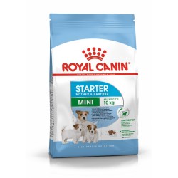 Royal Canin SHN Mini...