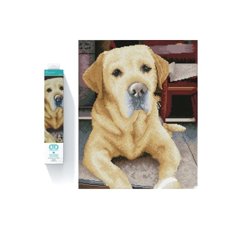 Haft diamentowy Diamond Dotz Diamentowa mozaika Labrador King 48x58cm DQ10027