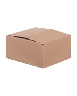 Pudło klapowe, karton 200x200x100 komplet 20szt