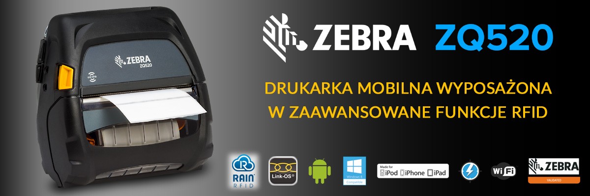 zebra-2